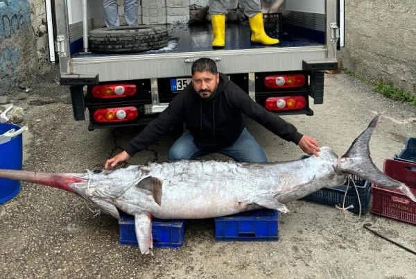 150 kiloluk kılıç balığı yakalandı