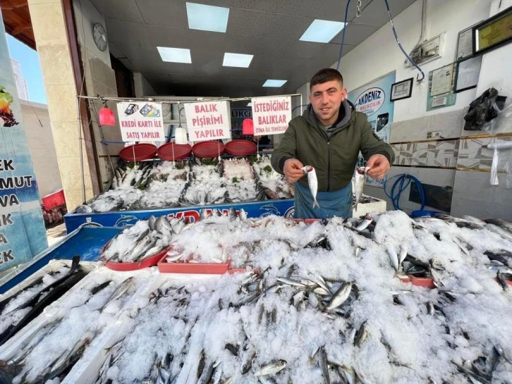 Akdeniz balıkçılıkta indirimlere devam