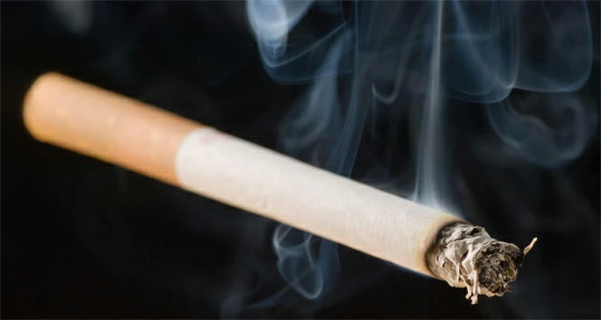“Her yıl  600 bin kişi sigara dumanından ölüyor”