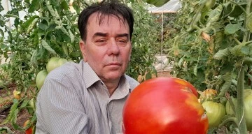 1 kilo 712 gramlık domatesi görenler şaşkınlıklarını gizleyemedi