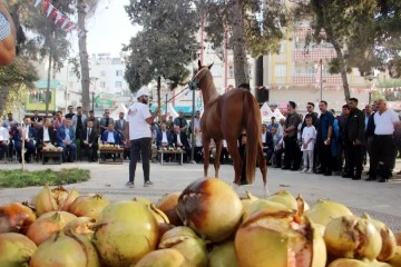 “At ve Nar Festivali” renkli görüntülere sahne oldu