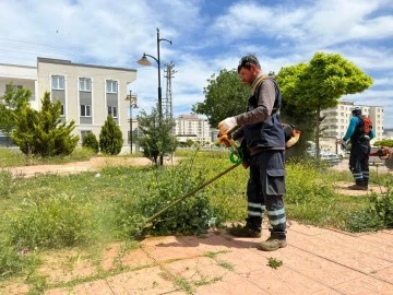 Belediye Başkanı Ramazan : ‘’Daha yeşil bir Kilis için ekiplerimiz çalışmalarını sürdürüyor’’