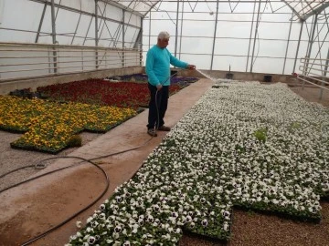 Belediye Başkanı Ramazan ‘’Diktiğimiz çiçekleri kendi seramızda yetiştiriyoruz’’