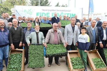 Gaziantep Büyükşehir’in Çiftçiye Fide Desteği Sürüyor