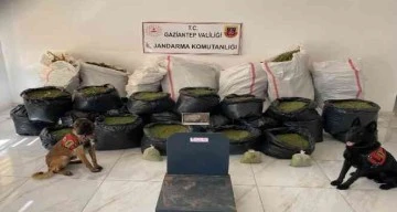 Gaziantep'te 462 kilo uyuşturucu madde ele geçirildi