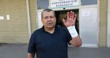 Gaziantep'te acemi kasaplar hastanelik oldu