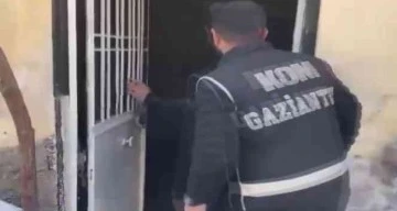 Gaziantep'te binlerce kaçak makaron ele geçirildi: 2 gözaltı