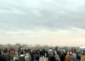 Gazze'deki çocukların özgürlüğü için binlerce güvercin gökyüzüne bırakıldı