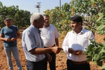 HÜDA PAR Gaziantep İl Başkanı Göçer: Antep fıstığı için neden taban fiyat uygulanmıyor?