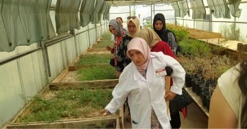 ''Kilis Kekik ile Tanışıyor'' Projesi Kapsamında Kadın Çiftçilere Teknik Gezi Düzenlendi