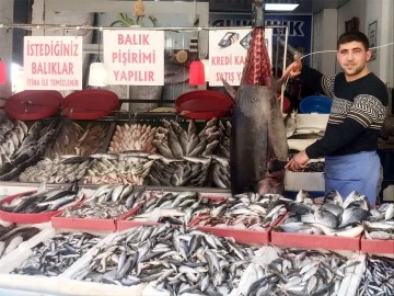 Kilis'te  balığa rağbet arttı