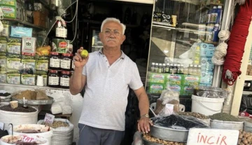 Kilis'te yerli sultani incirin kilosu 40 TL'den satılıyor