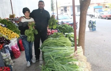 Kilis'te yeşillik fiyatları arttı