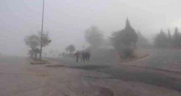 Kilis'te yoğun sis