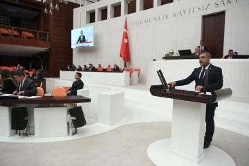 MHP'li Taşdoğan'dan Antep fıstığı için destek talebi