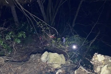 Orman işçisi uçuruma yuvarlanarak hayatını kaybetti