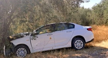 Otomobil zeytin ağacına çarptı: 1 ölü, 1 yaralı