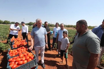 Tahmazoğlu çiftçilerle tarlada domates, biber topladı