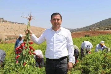 ZMO Kilis İl Temsilcisi Özdemir: ‘’Özel sektöre çağrımızdır. El insaf’’